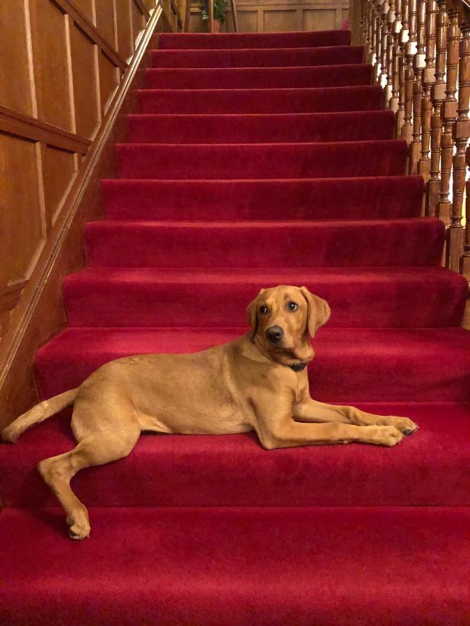 Tigh Na Sgiath Country House Hotel Grantown-on-Spey Ngoại thất bức ảnh